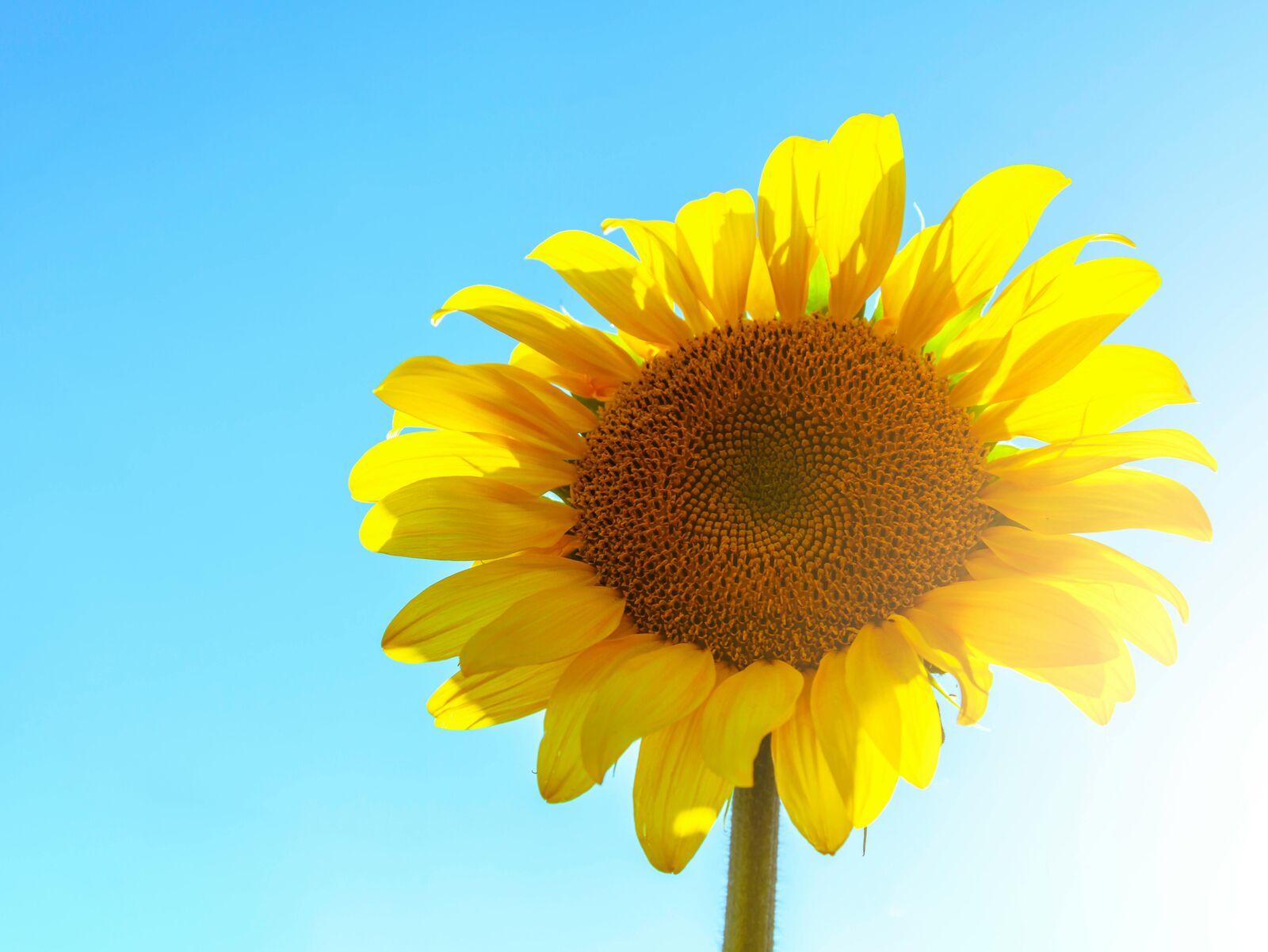 Blog IAAI Arbeitssicherheit GmbH